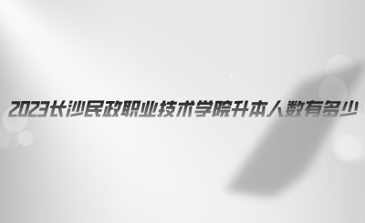 2023長沙民政職業(yè)技術(shù)學(xué)院升本人數(shù)有多少.png