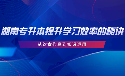 湖南專升本提升學(xué)習(xí)效率的秘訣：從飲食作息到知識(shí)運(yùn)用.png