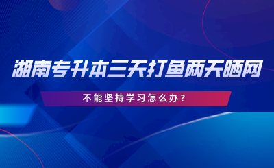 2024年湖南專升本三天打魚兩天曬網(wǎng)，不能堅持學習怎么辦.png