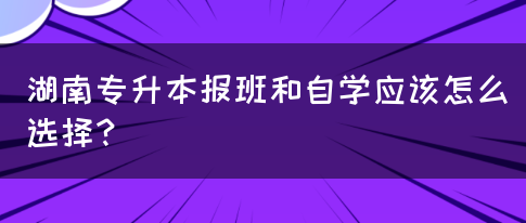 湖南專升本報班和自學(xué)應(yīng)該怎么選擇？(圖1)