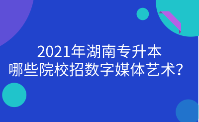 2021年湖南專升本哪些院校招數(shù)字媒體藝術(shù)？.png