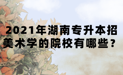 2021年湖南專升本招美術學的院校有哪些？(圖1)