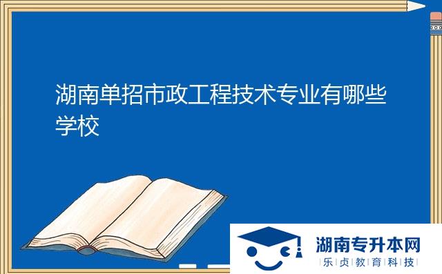 湖南單招市政工程技術(shù)專業(yè)有哪些學校