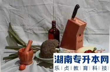 河南專升本美術(shù)的考試內(nèi)容(圖7)