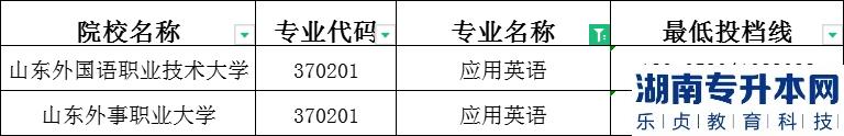 2023年山東專升本應(yīng)用英語(yǔ)建檔立卡投檔分?jǐn)?shù)線