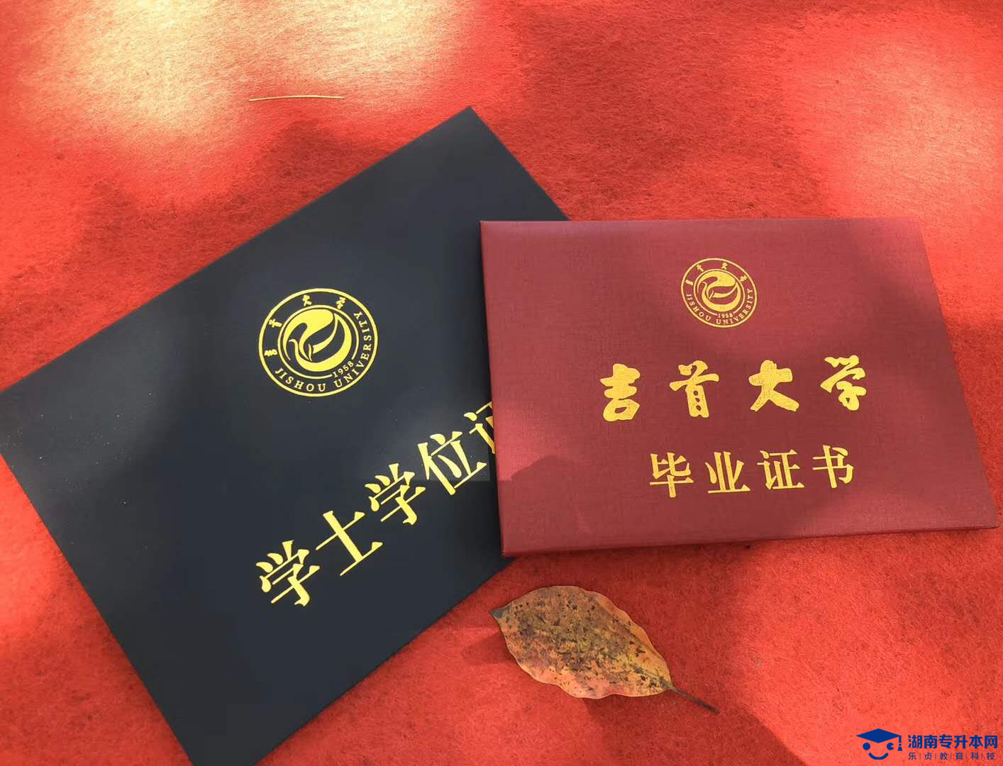 2021年湖南科技學(xué)院專升本視覺(jué)傳達(dá)設(shè)計(jì)專業(yè)《廣告設(shè)計(jì)》科目