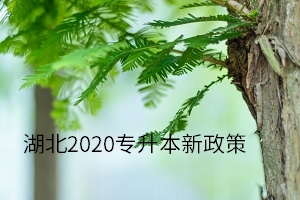 湖南2020專升本新政策有哪些?湖南專升本網(wǎng)告訴你