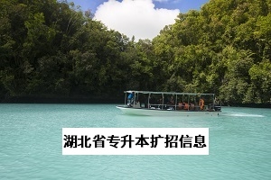 湖南省專升本招生規(guī)模將擴(kuò)大2倍？擴(kuò)招究竟能不能提高錄取率？