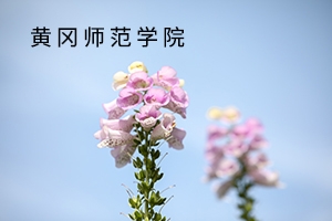 黃岡師范學(xué)院2019年普通專升本招生簡章：招生計劃及報考流程