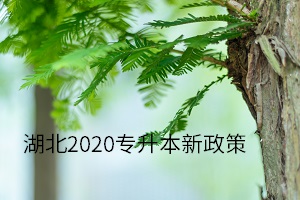 湖南2020專升本新政策有哪些？湖南專升本網(wǎng)告訴你(圖1)