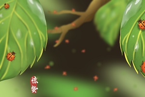 2020年專升本擴招多少人？專升本為什么會擴招?(圖2)