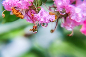 規(guī)范答題、保證時(shí)間
