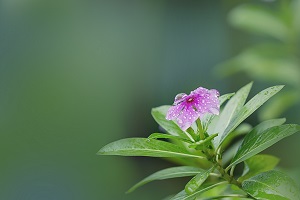 專升本擴(kuò)招及高校畢業(yè)生就業(yè)工作通知！教育部最新消息來了！(圖2)