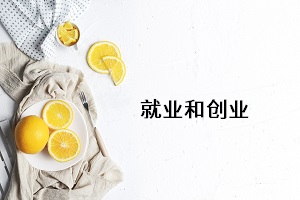 就業(yè)和創(chuàng)業(yè)