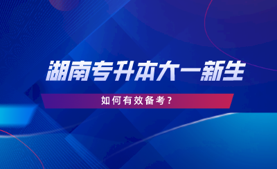 湖南專升本大一新生如何備考？新生必看指南！